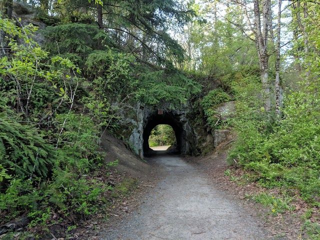 Sehome Hill Arboretum